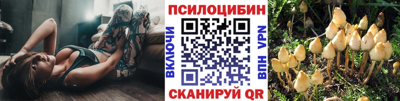 Галлюциногенные грибы Cubensis  купить   Павлово 