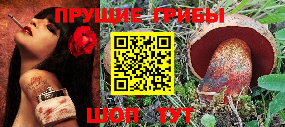 Псилоцибиновые грибы MAGIC MUSHROOMS Павлово