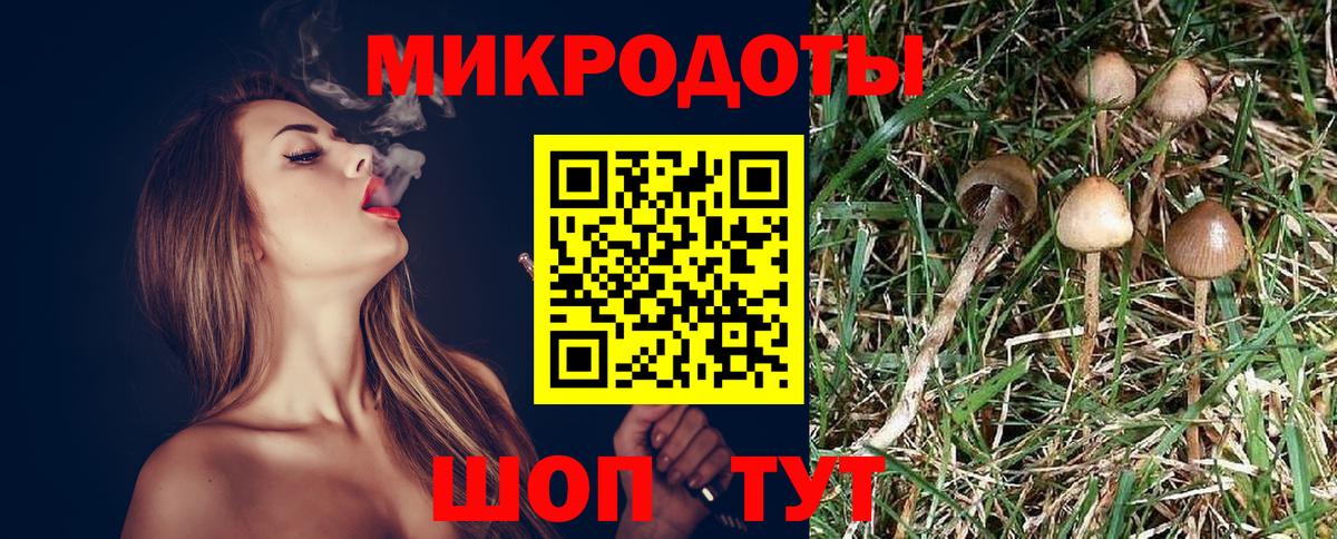 Галлюциногенные грибы Magic Shrooms  Вход с VPN  Галлюциногенные грибы Psilocybe  магазин продажи наркотиков  Павлово 