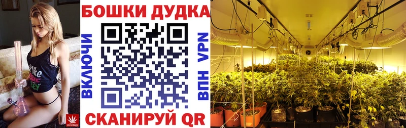 Марихуана гибрид Павлово
